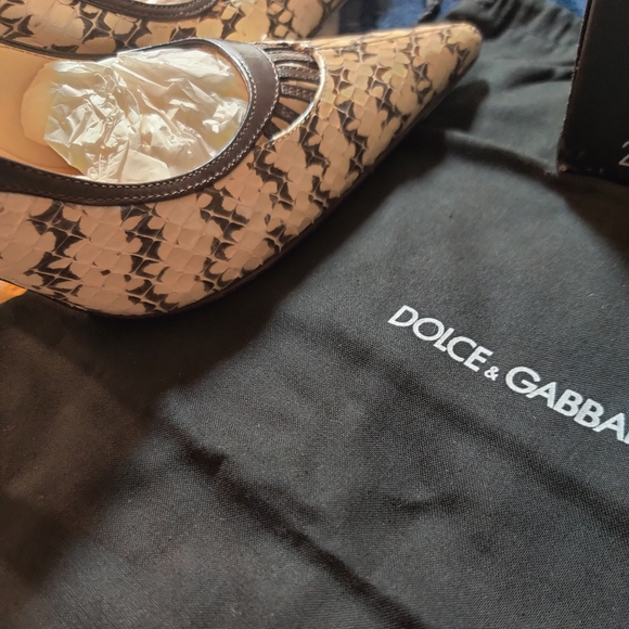 Dolce & Gabbana Snake and Leather Pumps💕 - Picture 6 of 8